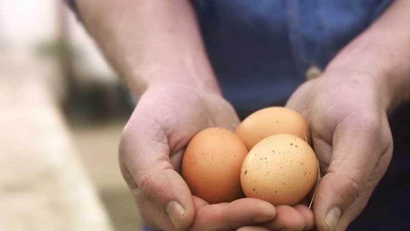cách chọn trứng tươi ngon