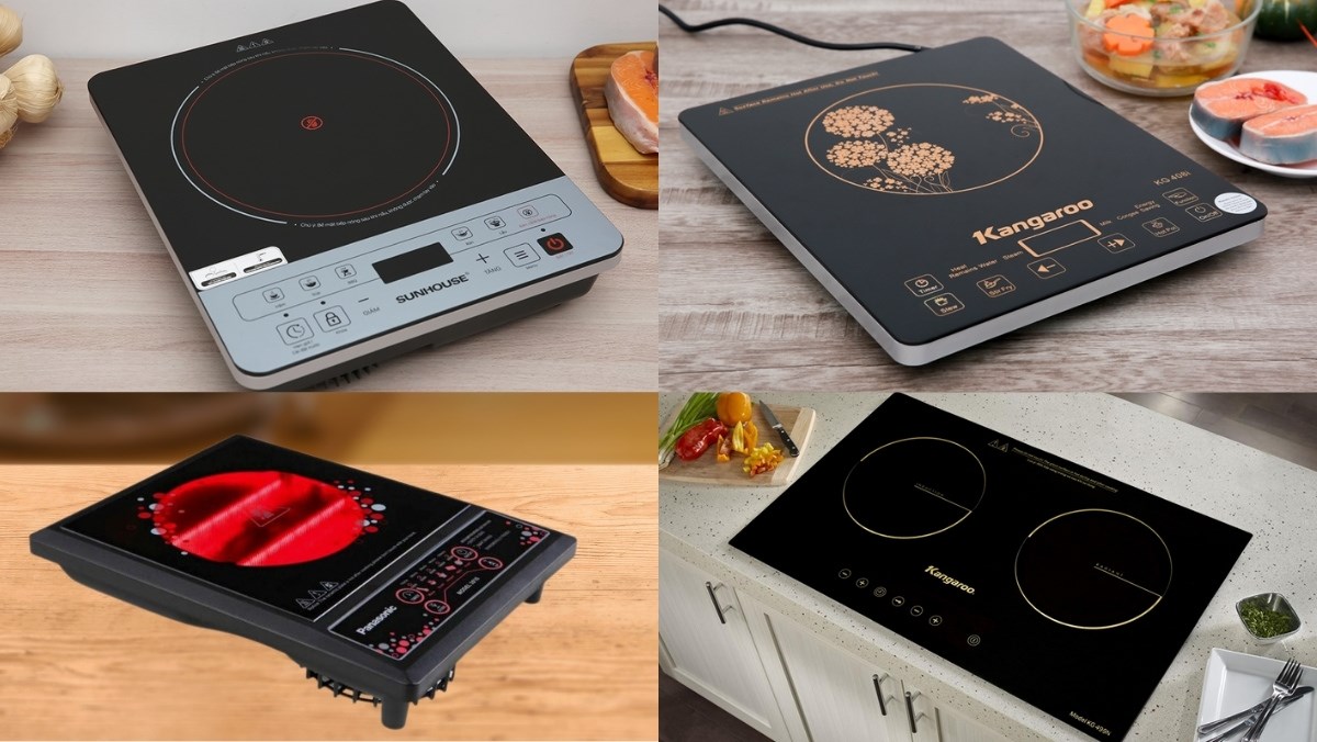 các loại bếp từ